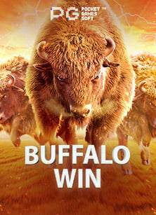 เปิดประสบการณ์ใหม่กับเกมสล็อต คิง ค อง pg